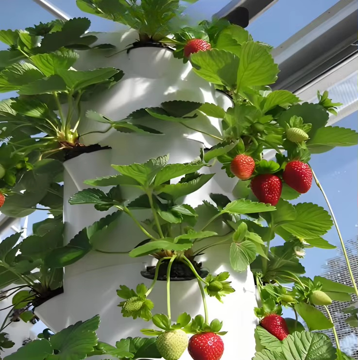 Modułowy hydroponiczny system  – Urban Farming Urban Gardening recenzja i cena